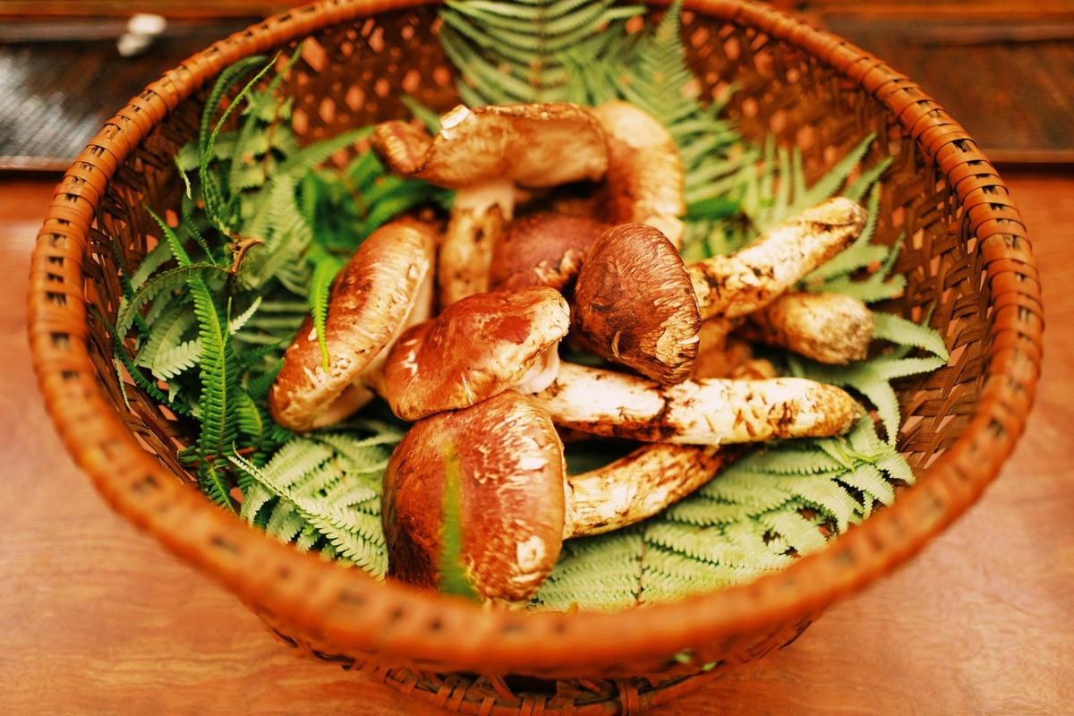 緒方 の予約 Autoreserve