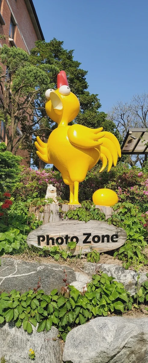 百年土種参鶏湯 北村店