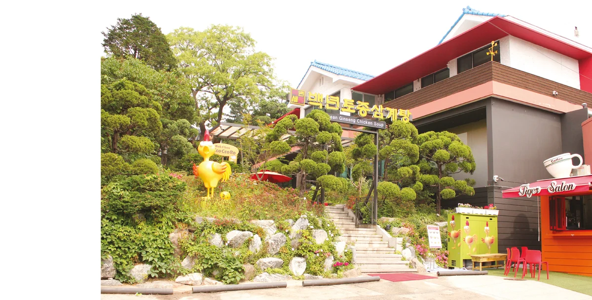 百年土種参鶏湯 北村店