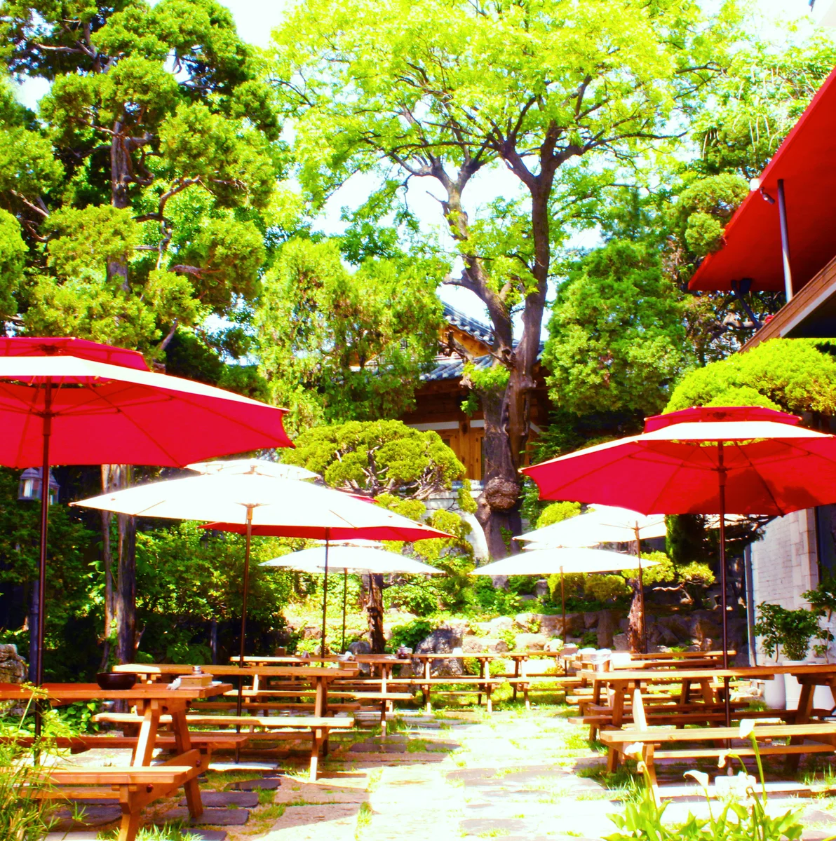 百年土種参鶏湯 北村店