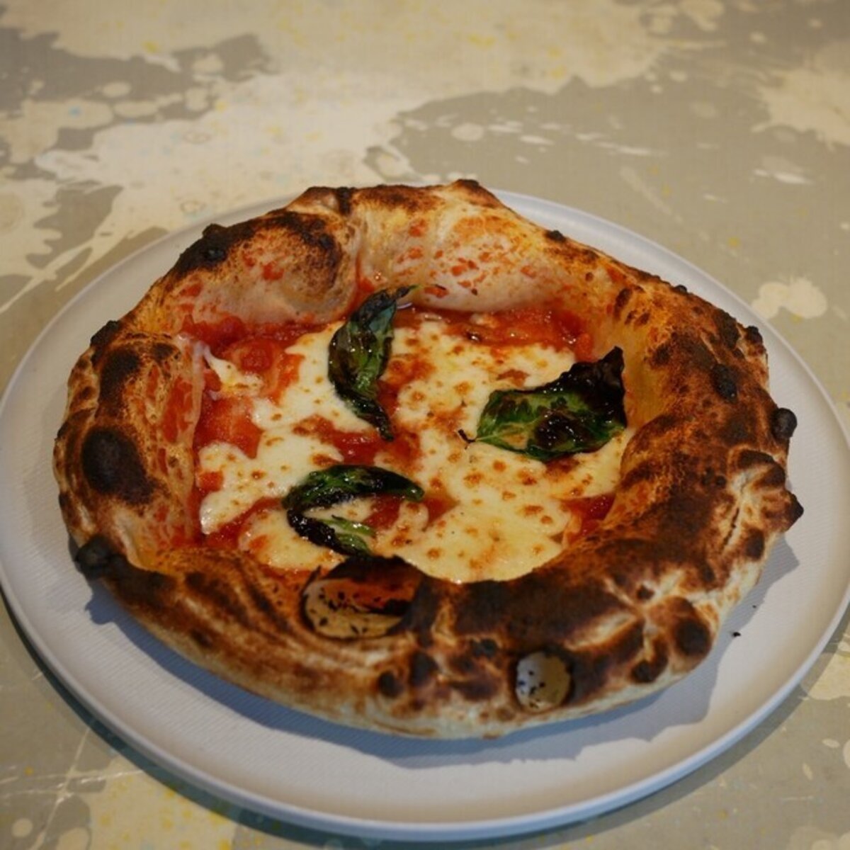 400℃ PIZZA TOKYOの予約 | 東京都新宿区 | ピザ | AutoReserve