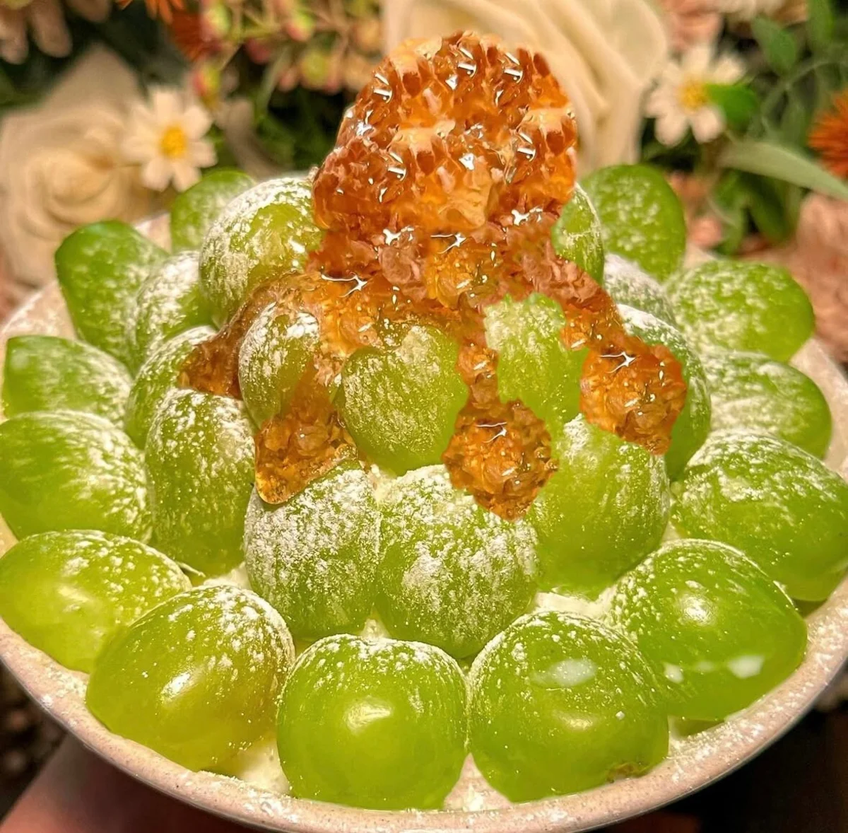 スケジュール 合井