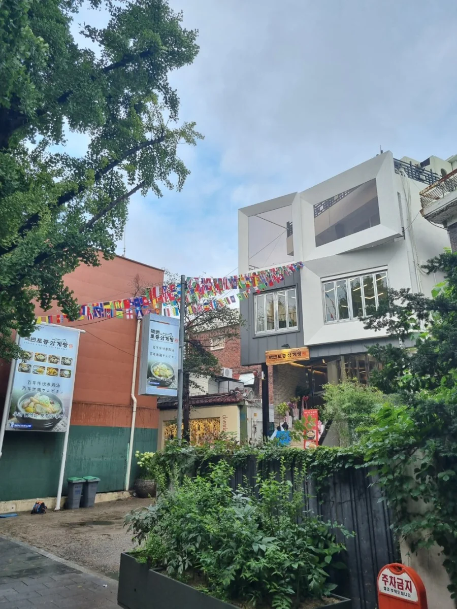 百年土種参鶏湯 三清店