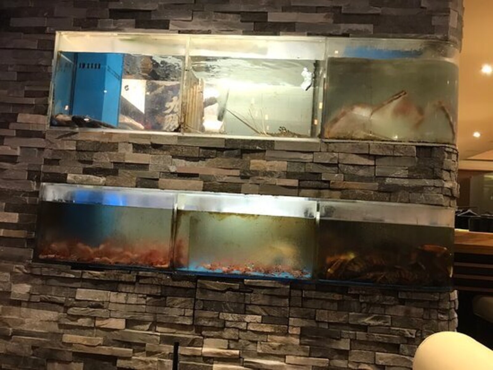 イキの予約 | アメリカ、ニューヨーク州フラッシング | 和食 | AutoReserve