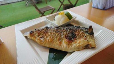 追っかけ鮨 地魚料理 松輪 - AutoReserve