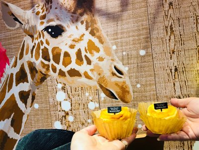 Tops Jr名古屋高島屋 愛知県 ケーキ Autoreserve