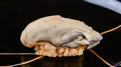 熟成鮨光史郎の料理 3