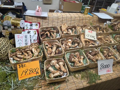 23afe8da-4164-4e94-bbb5-