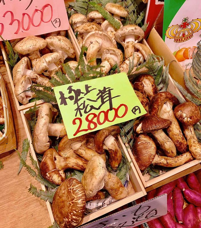 松茸屋 魚松 信楽店の予約 | 滋賀県甲賀市 | しゃぶしゃぶ | AutoReserve