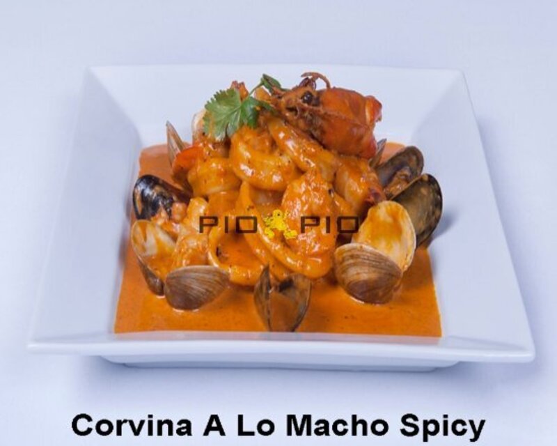 ポンポンベベ様　ご予約 ワワの予約 | アメリカ、フロリダ州リバービュー | AutoReserve