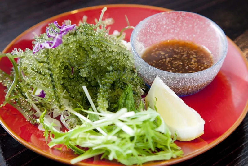 美ら海太郎