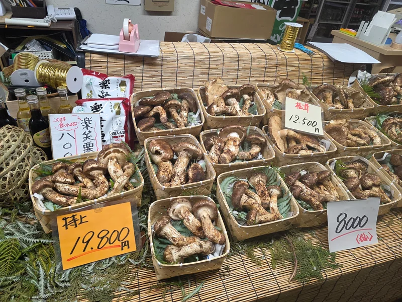 23afe8da-4164-4e94-bbb5-