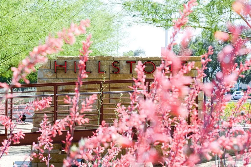 Hillstone Restaurant Reservation | Phoenix, Arizona | American